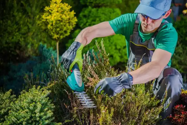 landscaping services West Concord